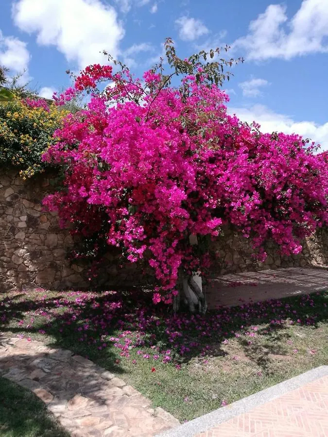 Villa Azzurra Tertenìa 意大利